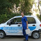 Westernvet - clinica veterinara